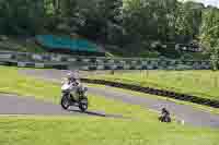 Advanced Group Silver_Grey Bikes